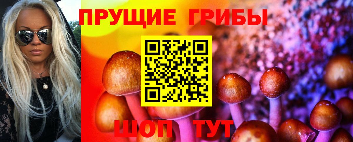 Галлюциногенные грибы MAGIC MUSHROOMS  Вход с VPN  Петропавловск-Камчатский 
