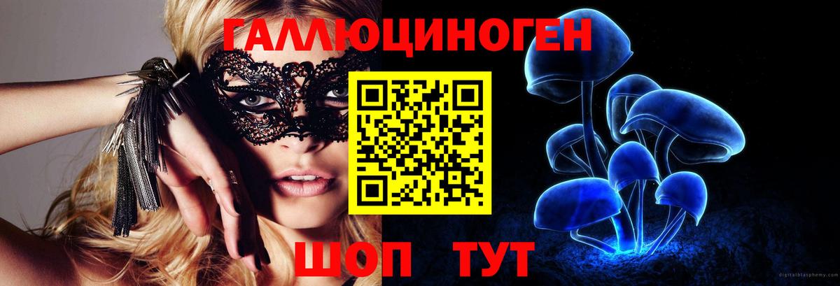 Псилоцибиновые грибы Cubensis  Галлюциногенные грибы мухоморы  Петропавловск-Камчатский 